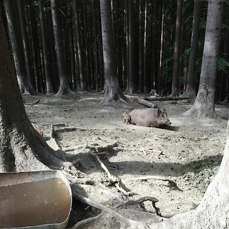 酒店 法特拉酒店 Terchová